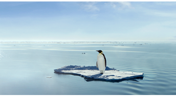 Assurance vie : Evolution Vie se dote d’un fonds axé sur le changement climatique Assurance vie : Evolution Vie se dote d’un fonds axé sur le changement climatique