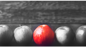 Assurance vie : Assurance vie : quelle option fiscale choisir pour vos rachats ? Assurance vie : Assurance vie : quelle option fiscale choisir pour vos rachats ?