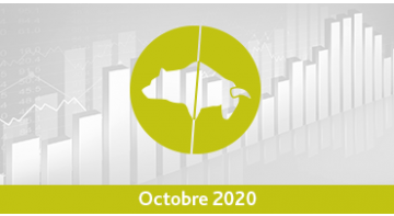 Assurance vie : Palmarès des trackers/ETF – Octobre 2020 Assurance vie : Palmarès des trackers/ETF – Octobre 2020