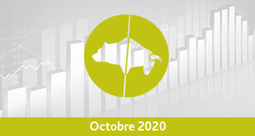 Palmarès des trackers/ETF – Octobre 2020