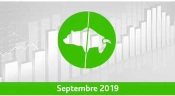 Assurance vie : Palmarès des trackers/ETF – Septembre 2019 Assurance vie : Palmarès des trackers/ETF – Septembre 2019